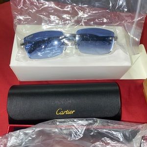 Cartier Blue tint Silver Buffalo Horn